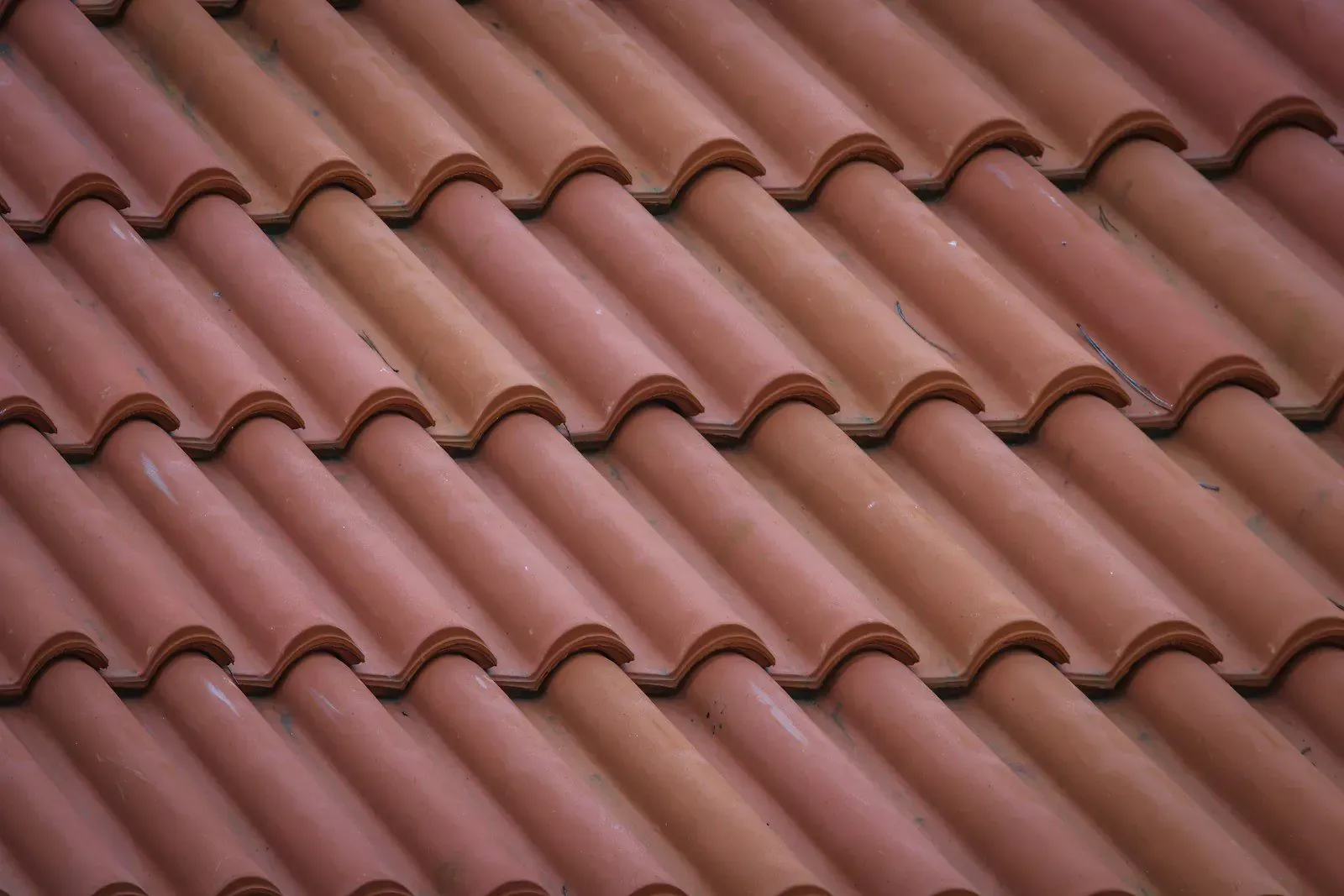 Close-up of terracotta roof tiles in rows